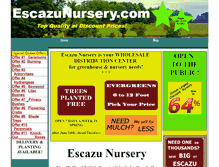 Tablet Screenshot of escazunursery.com
